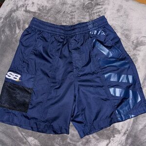 Nike SB shorts